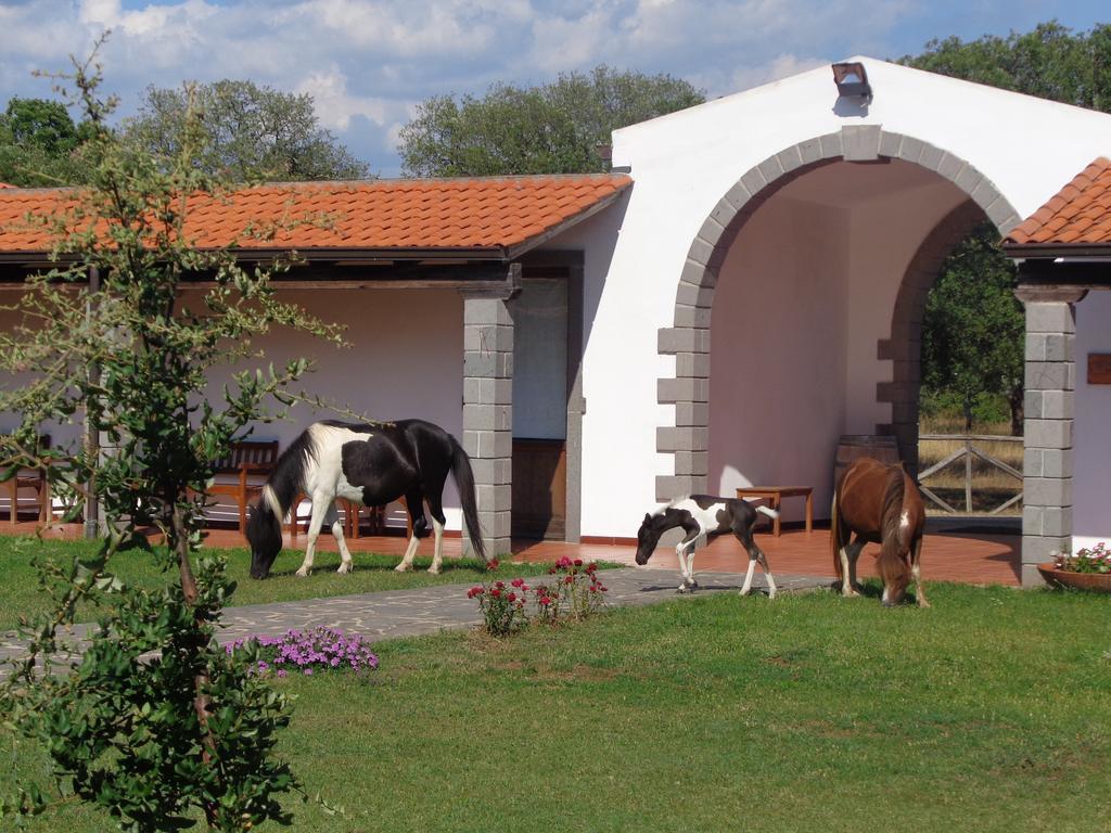 Hotel Su Baione Аббазанта Экстерьер фото